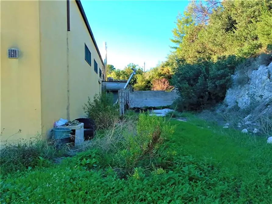 Immagine 19 di Capannone industriale in vendita  in Loc. C/DA PORTELLI, SN a Noto