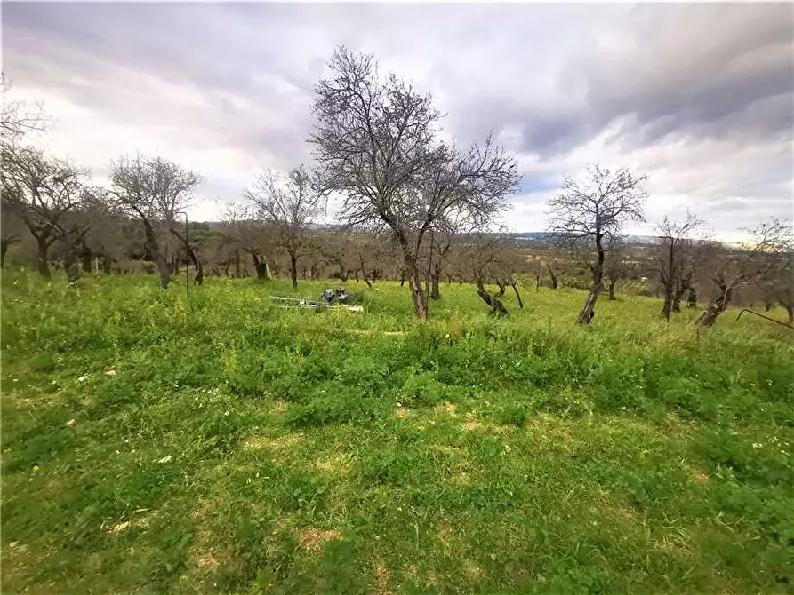 Immagine 18 di Rustico / casale in vendita  in Loc. CDA Vaddeddi, SN a Noto