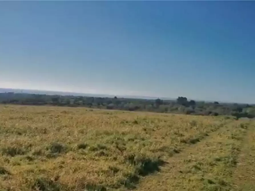 Immagine 11 di Terreno in vendita  in Loc. C/DA  Mammarelle a Avola