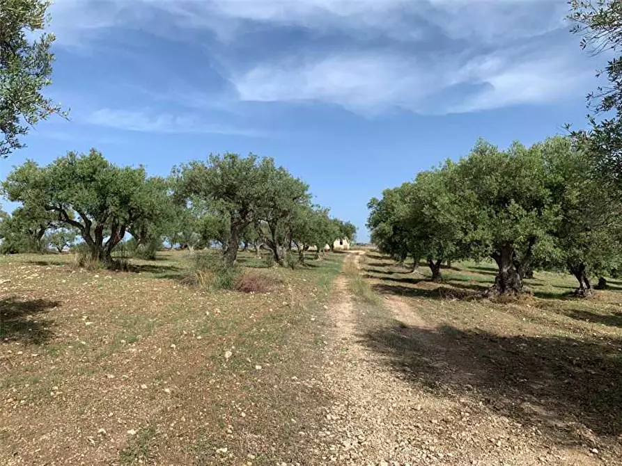 Immagine 16 di Terreno in vendita  in Loc. C/da Baroni, sn a Noto