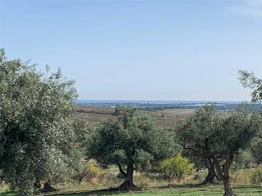 Immagine 18 di Terreno in vendita  in Loc. C/da Baroni, sn a Noto