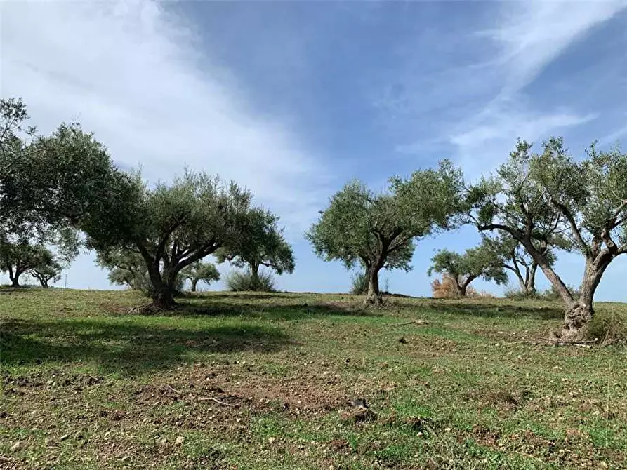 Immagine 19 di Terreno in vendita  in Loc. C/da Baroni, sn a Noto