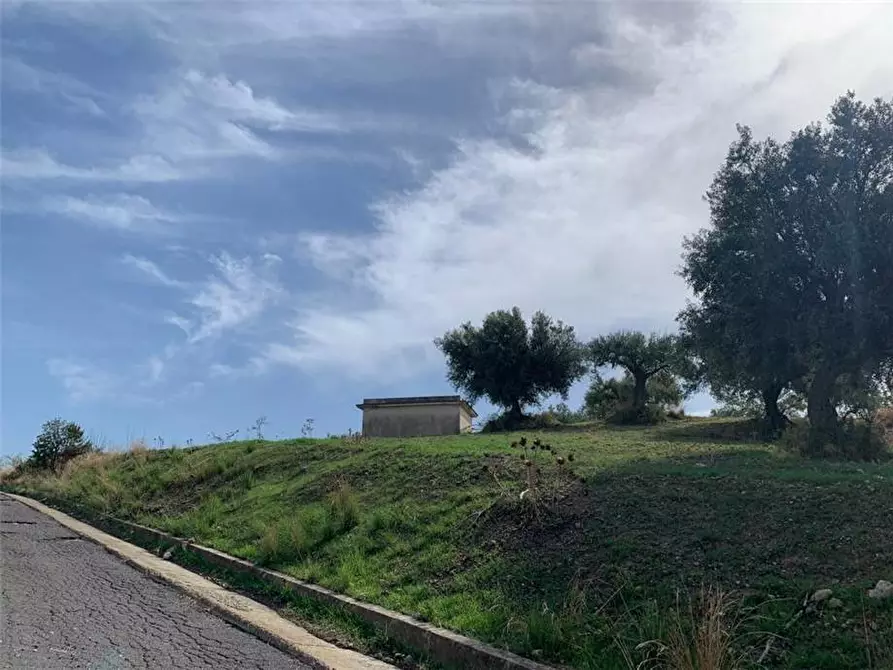 Immagine 20 di Terreno in vendita  in Loc. C/da Baroni, sn a Noto