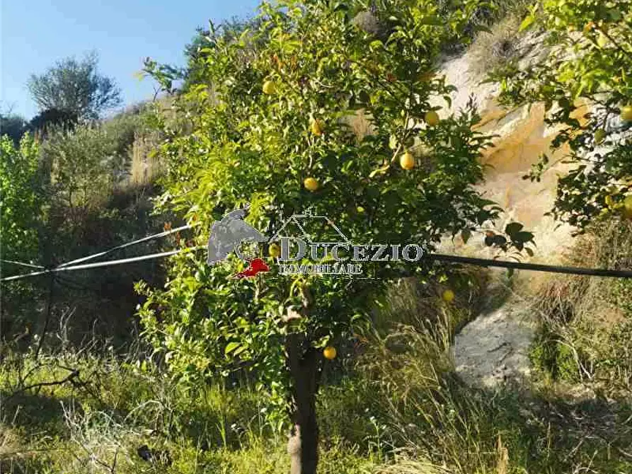 Immagine 16 di Terreno in vendita  in Loc. San Paolo, SN a Noto