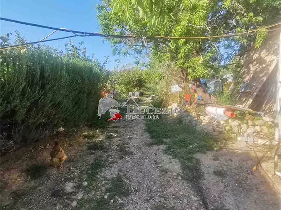 Immagine 19 di Terreno in vendita  in Loc. San Paolo, SN a Noto