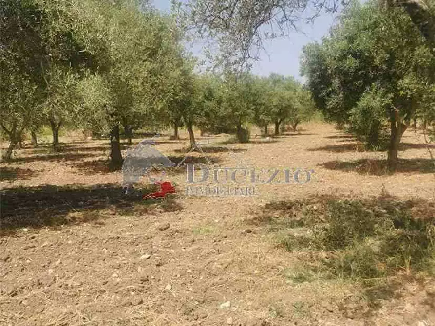 Immagine 13 di Terreno in vendita  in Loc. CDA BUFALEFI, SN a Noto