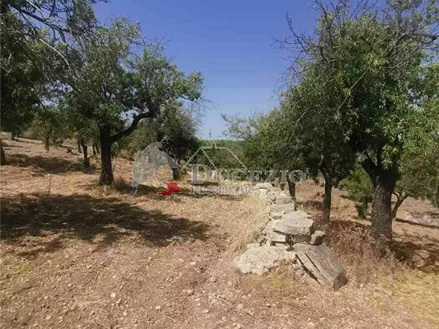 Immagine 14 di Terreno in vendita  in Loc. CDA BUFALEFI, SN a Noto