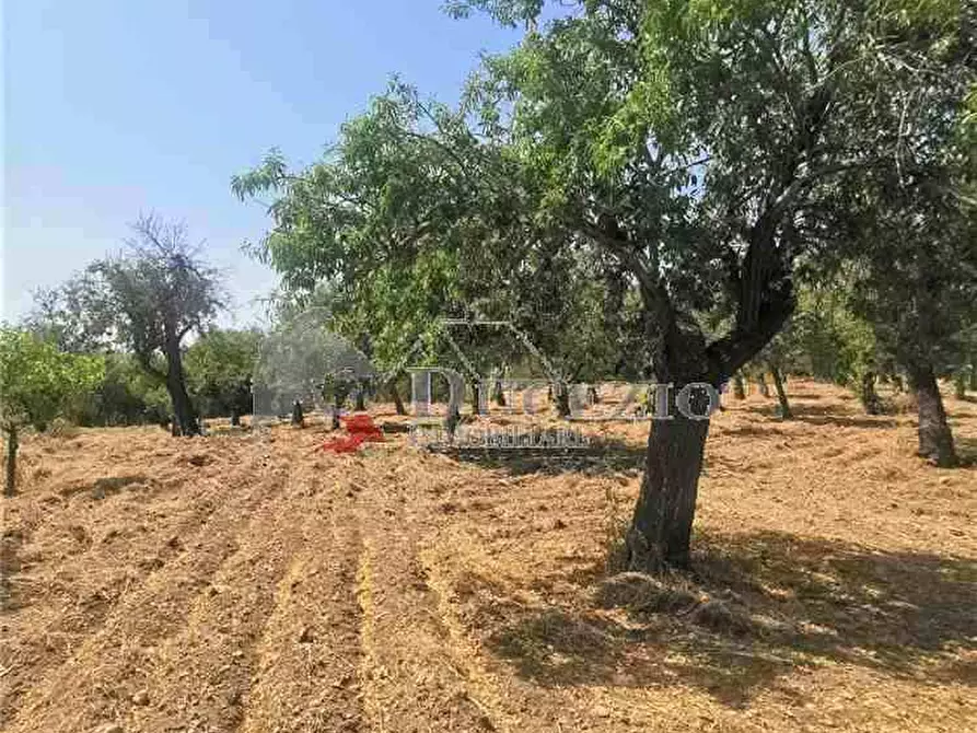 Immagine 15 di Terreno in vendita  in Loc. CDA BUFALEFI, SN a Noto
