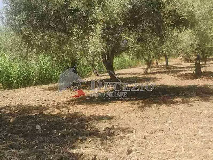 Immagine 16 di Terreno in vendita  in Loc. CDA BUFALEFI, SN a Noto