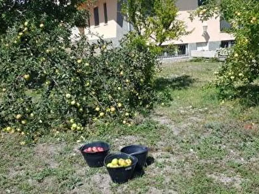 Immagine 16 di Villa in vendita  in Loc. Comunale Saliera, SN a Gessopalena