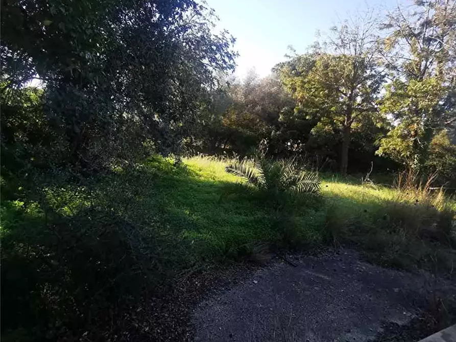 Immagine 16 di Villa in vendita  in Loc. Zona Isola, SN a Siracusa