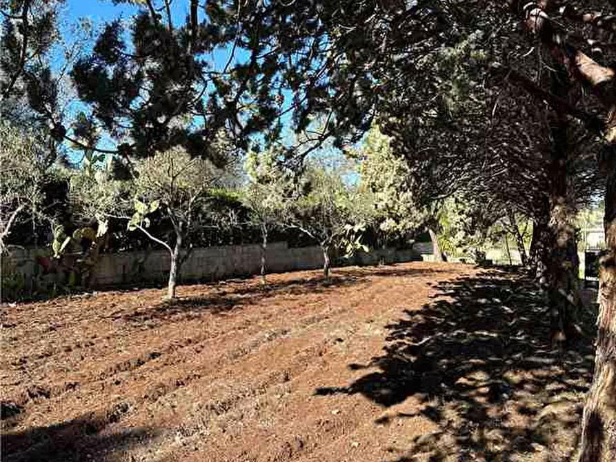 Immagine 18 di Villa in vendita  in Loc. Avola Antica, sn a Avola