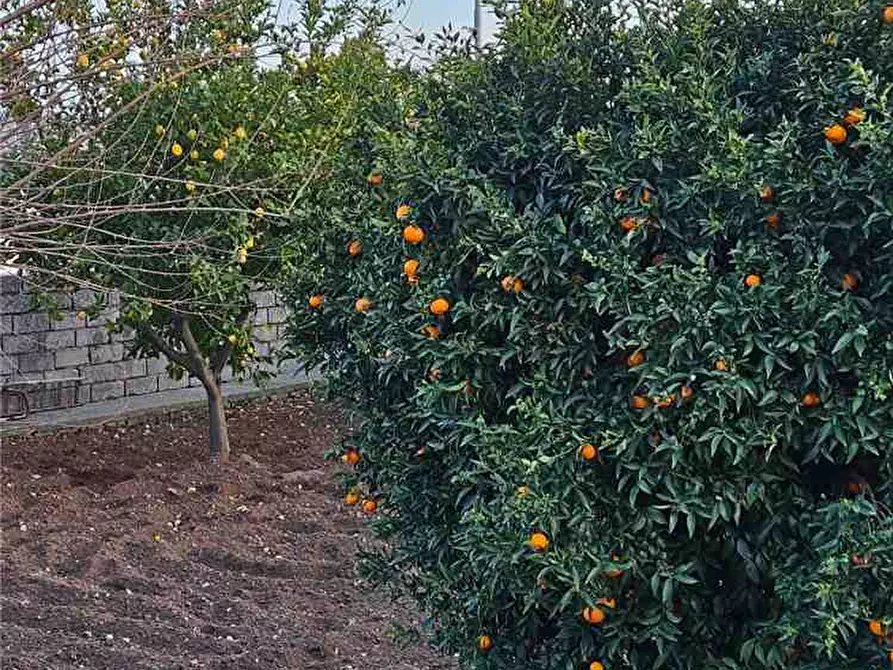 Immagine 19 di Villa in vendita  in Loc. Baronazzo, 5 a Noto