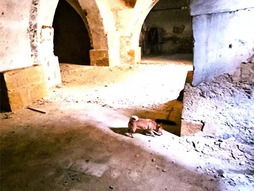 Immagine 14 di Attività commerciale in vendita  in Via Largo Salvatore, 36 a Piazza Armerina
