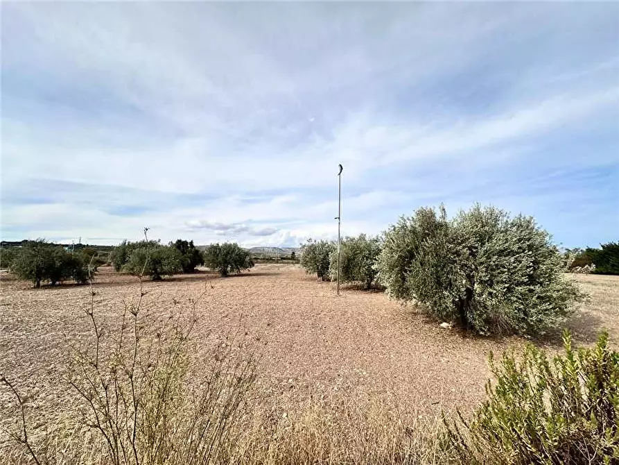 Immagine 16 di Rustico / casale in vendita  in Loc. Lido Di Noto, sn a Noto
