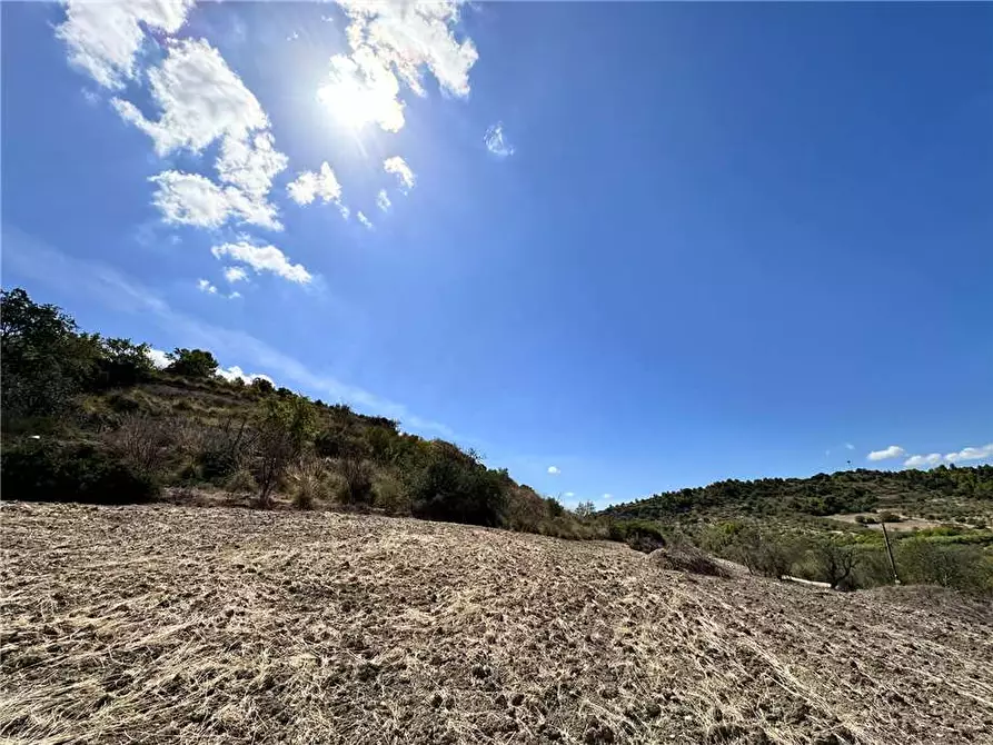 Immagine 16 di Terreno in vendita  in Loc. CDA PORTELLI, SN a Noto