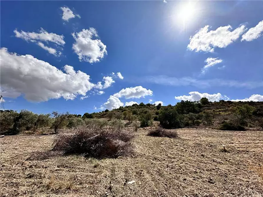 Immagine 20 di Terreno in vendita  in Loc. CDA PORTELLI, SN a Noto