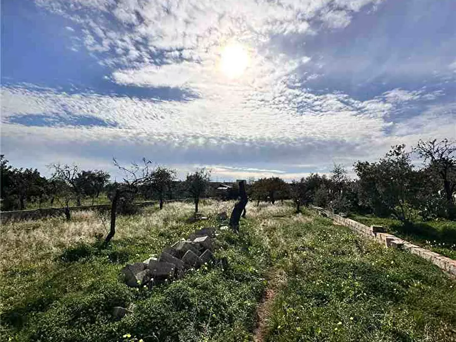 Immagine 17 di Villa in vendita  in Loc. C/da Falconara, s.n. a Noto