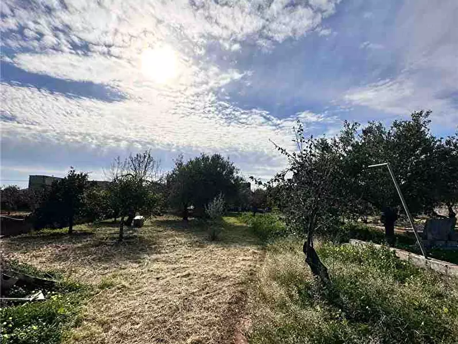 Immagine 18 di Villa in vendita  in Loc. C/da Falconara, s.n. a Noto