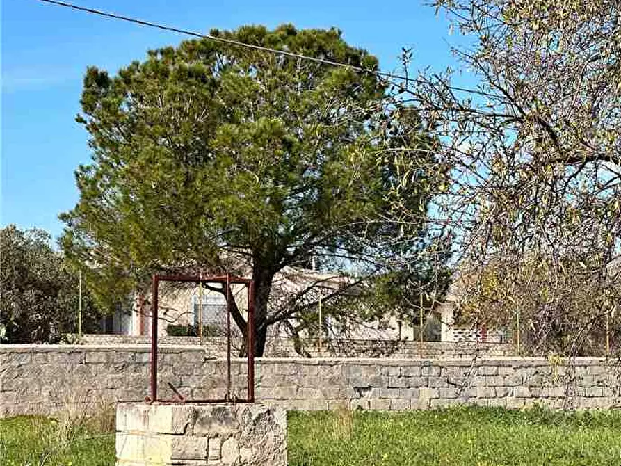 Immagine 19 di Villa in vendita  in Loc. C/da Falconara, s.n. a Noto