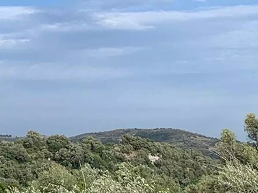 Immagine 14 di Terreno in vendita  in Loc. C/da Manghisi, s.n. a Noto
