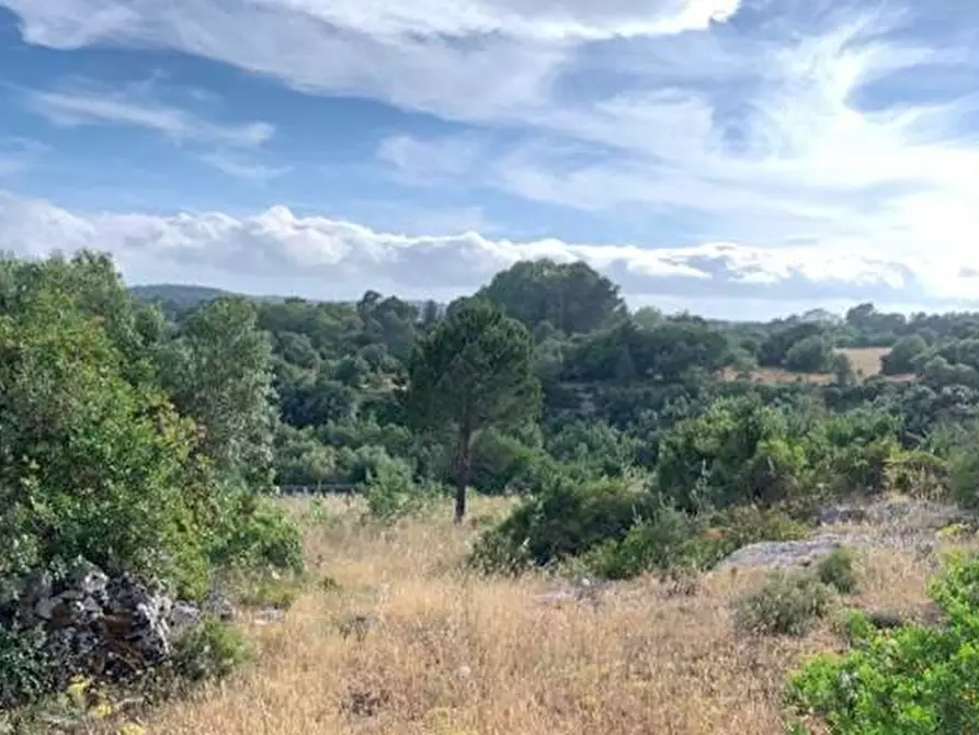 Immagine 15 di Terreno in vendita  in Loc. C/da Manghisi, s.n. a Noto