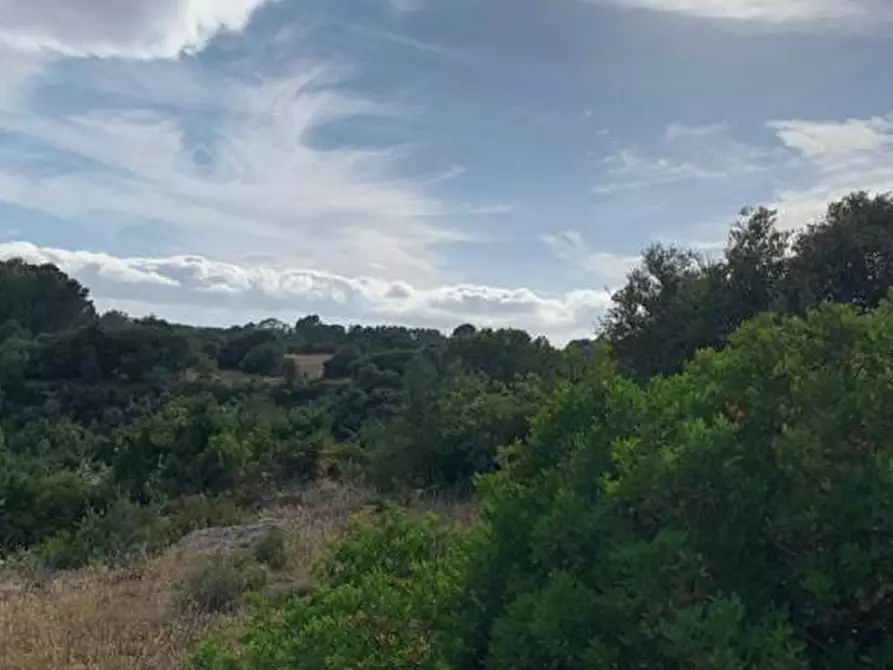 Immagine 16 di Terreno in vendita  in Loc. C/da Manghisi, s.n. a Noto