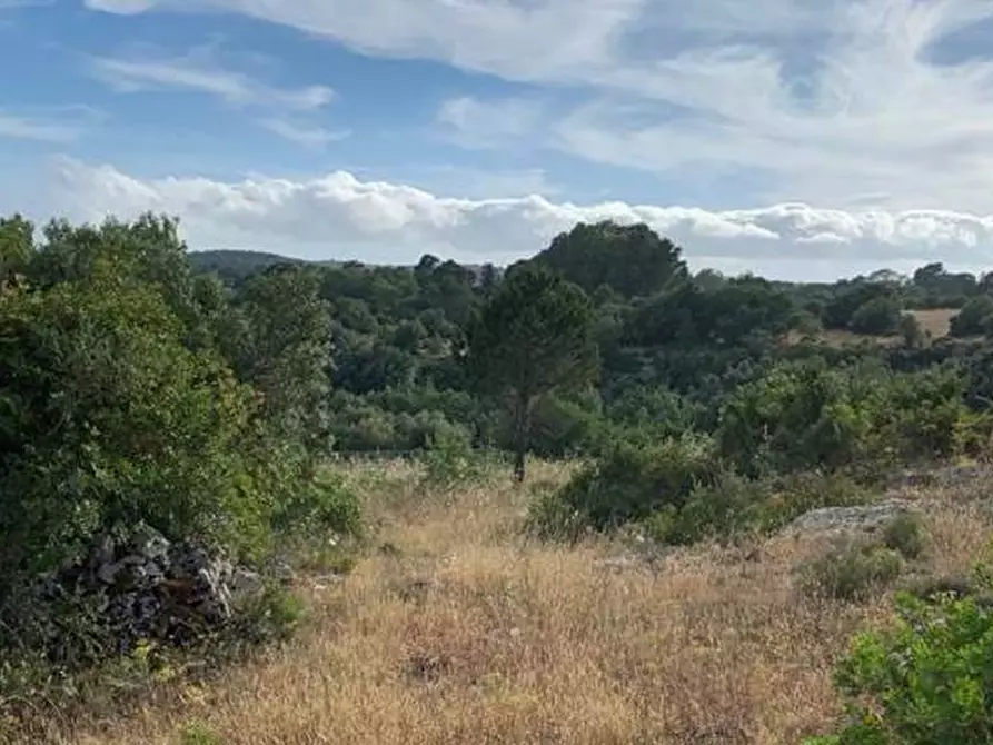 Immagine 17 di Terreno in vendita  in Loc. C/da Manghisi, s.n. a Noto