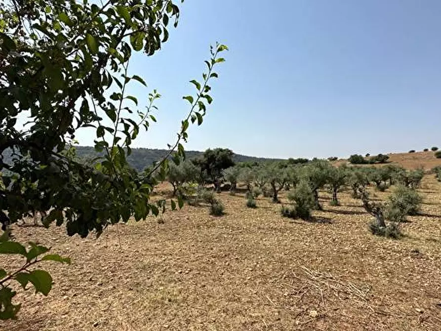 Immagine 16 di Terreno in vendita  in Loc. C/DA Masca, s.n. a Ferla