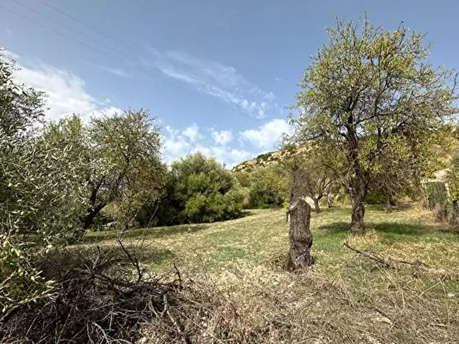 Immagine 7 di Terreno in vendita  in Loc. C/da Fiumara, s.n. a Noto