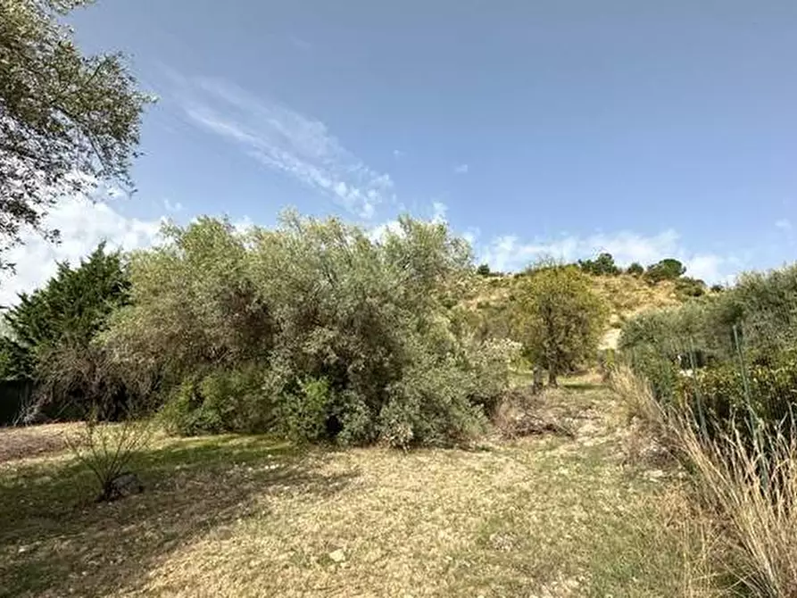 Immagine 8 di Terreno in vendita  in Loc. C/da Fiumara, s.n. a Noto