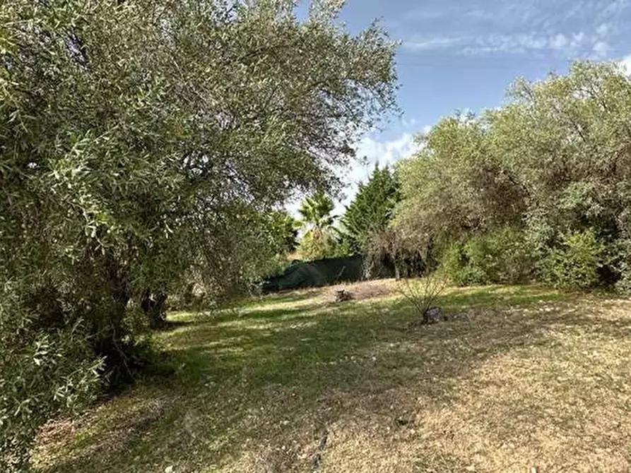 Immagine 9 di Terreno in vendita  in Loc. C/da Fiumara, s.n. a Noto
