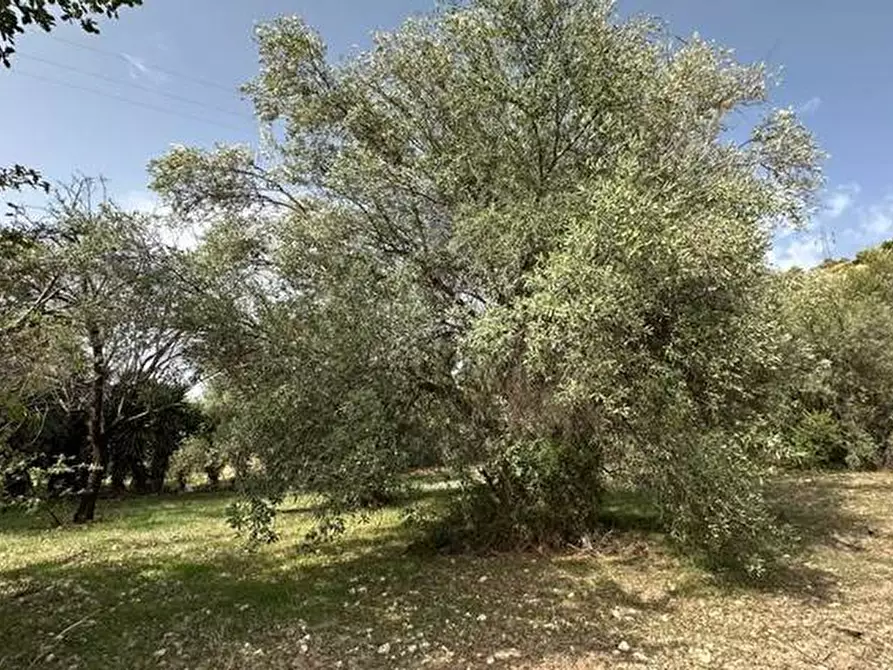 Immagine 10 di Terreno in vendita  in Loc. C/da Fiumara, s.n. a Noto