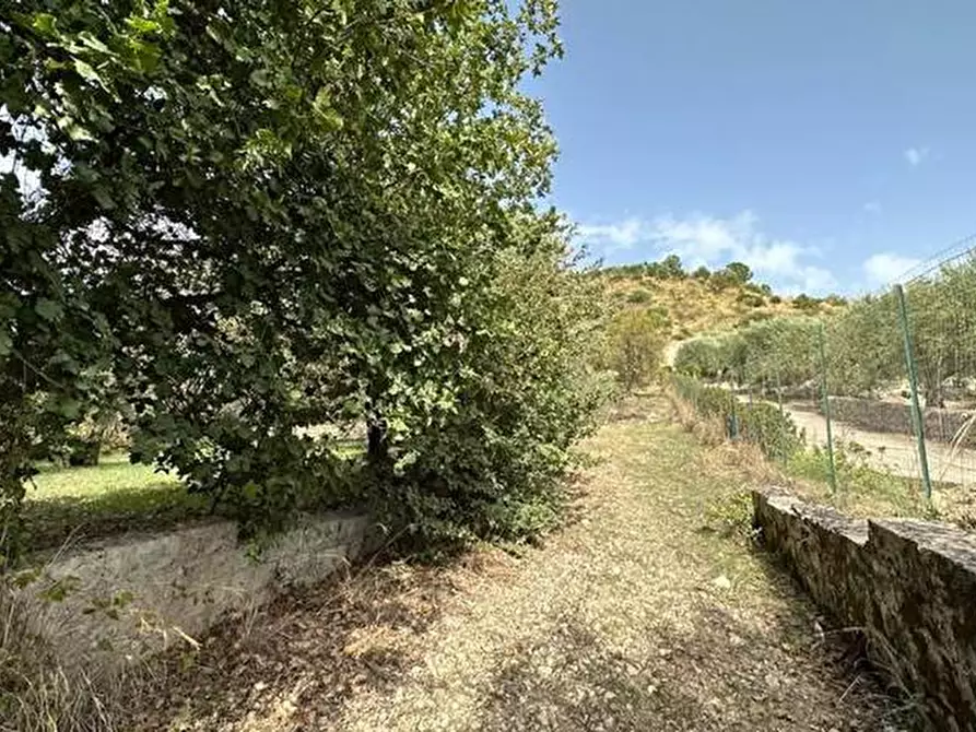 Immagine 11 di Terreno in vendita  in Loc. C/da Fiumara, s.n. a Noto