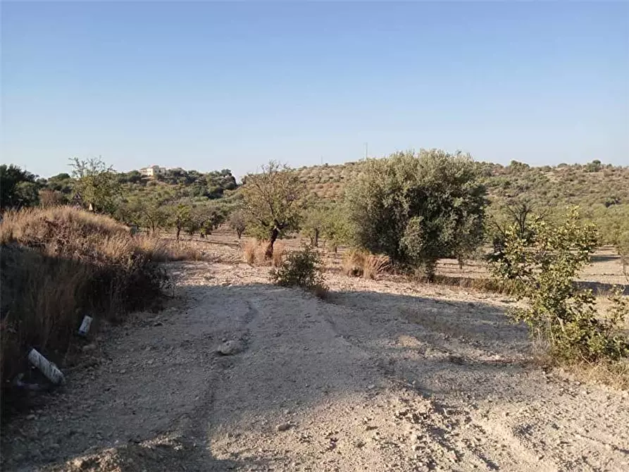 Immagine 6 di Terreno in vendita  in Loc. C/da Tre Maiali, s.n. a Noto