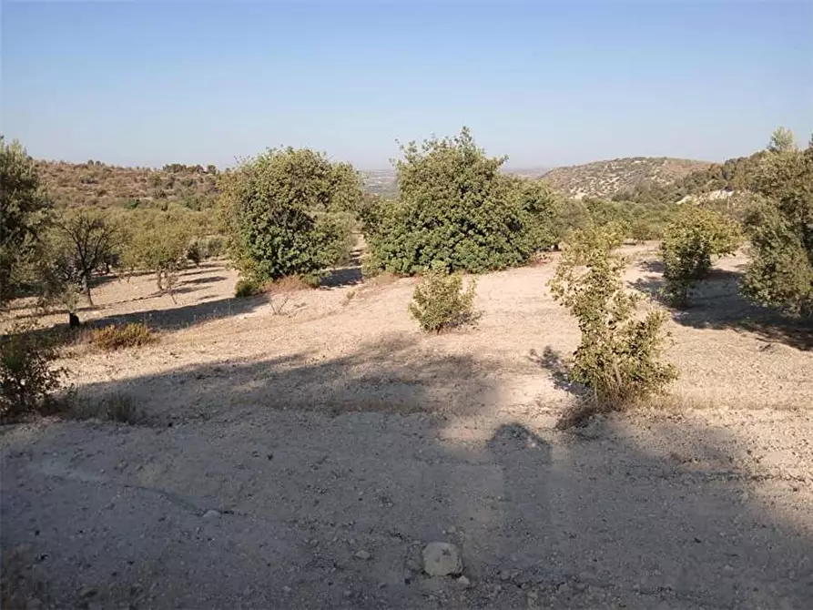 Immagine 7 di Terreno in vendita  in Loc. C/da Tre Maiali, s.n. a Noto
