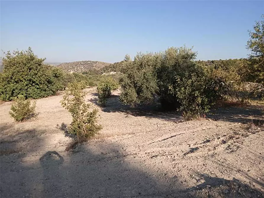 Immagine 9 di Terreno in vendita  in Loc. C/da Tre Maiali, s.n. a Noto