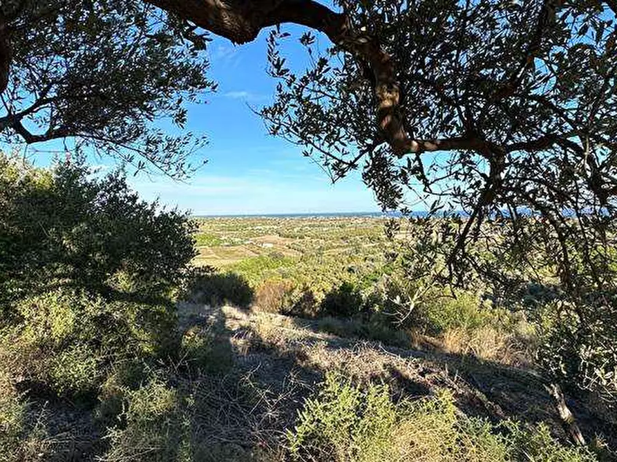 Immagine 16 di Terreno in vendita  in Loc. C/da Laufi, s.n. a Noto