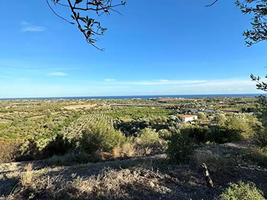 Immagine 17 di Terreno in vendita  in Loc. C/da Laufi, s.n. a Noto