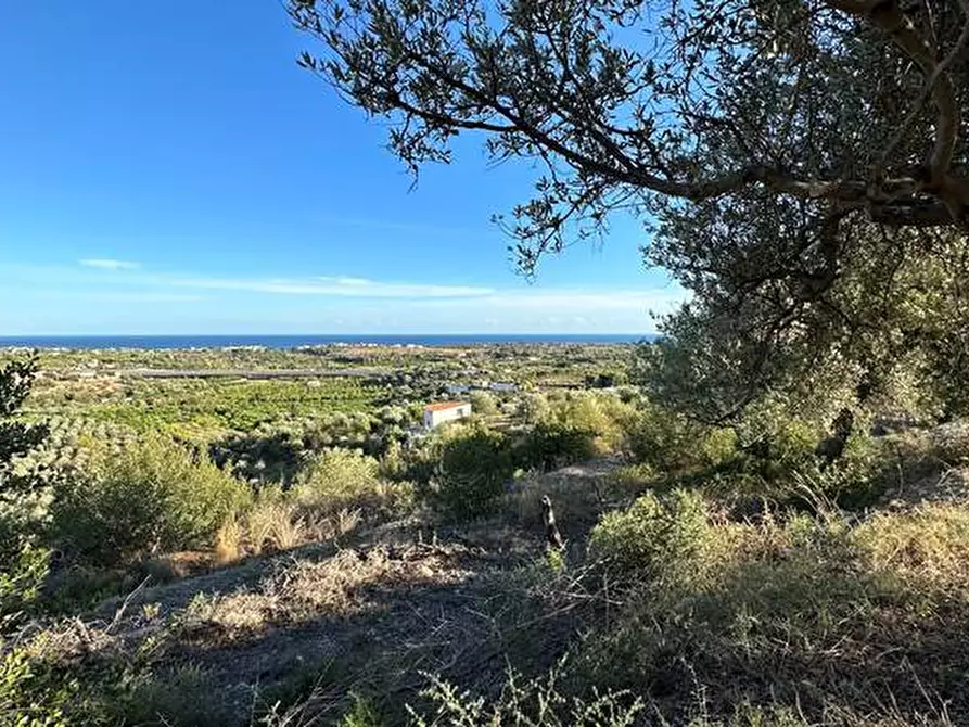 Immagine 18 di Terreno in vendita  in Loc. C/da Laufi, s.n. a Noto
