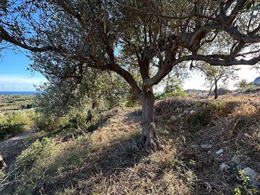 Immagine 19 di Terreno in vendita  in Loc. C/da Laufi, s.n. a Noto