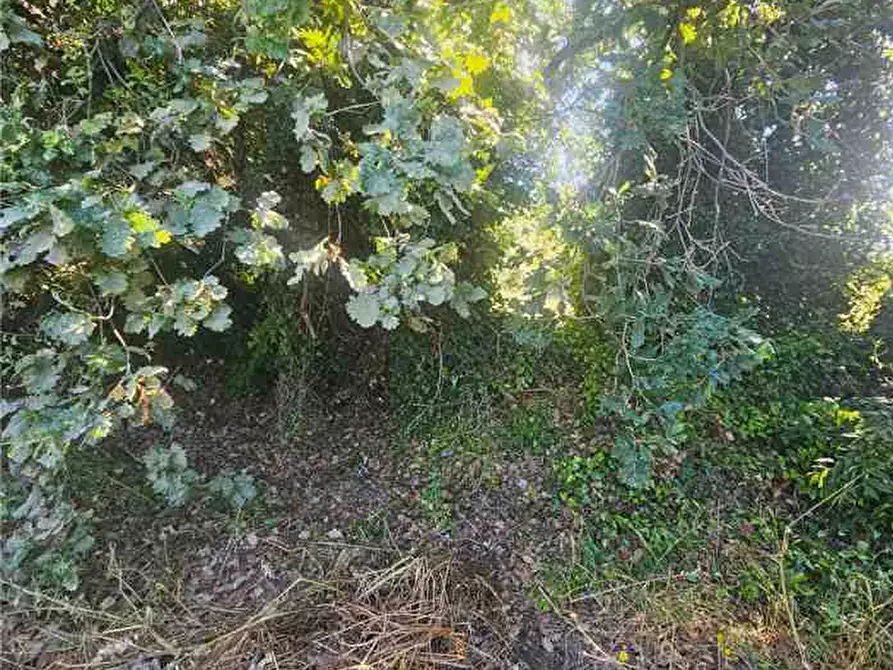 Immagine 6 di Terreno in vendita  in Loc. C/da Bulsulmone, sn a Noto