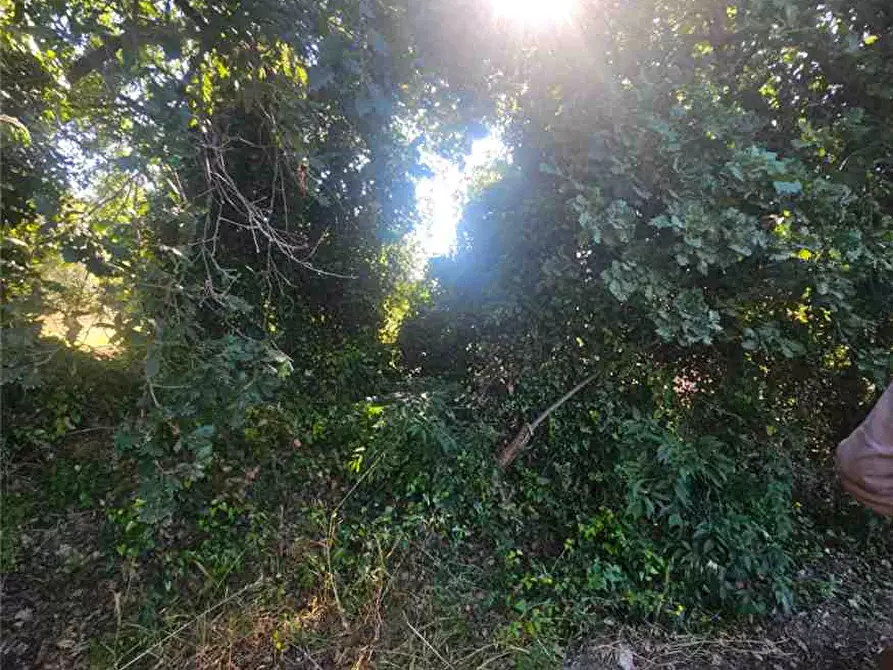 Immagine 7 di Terreno in vendita  in Loc. C/da Bulsulmone, sn a Noto