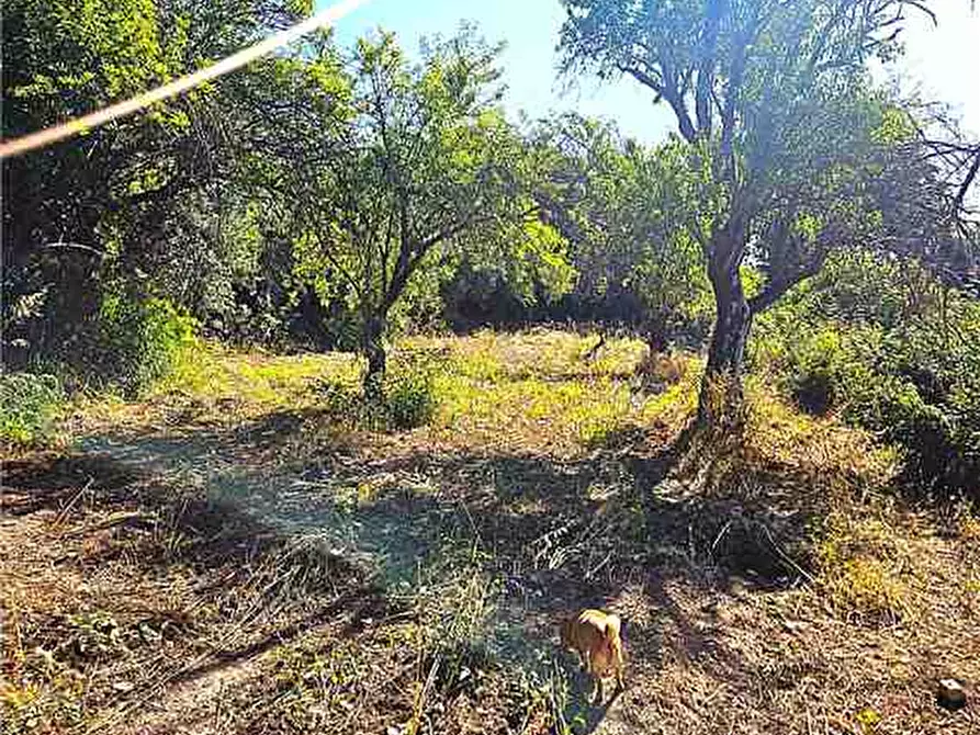 Immagine 8 di Terreno in vendita  in Loc. C/da Bulsulmone, sn a Noto
