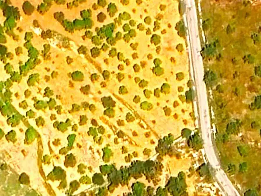 Immagine 9 di Terreno in vendita  in Loc. C/da Bulsulmone, sn a Noto