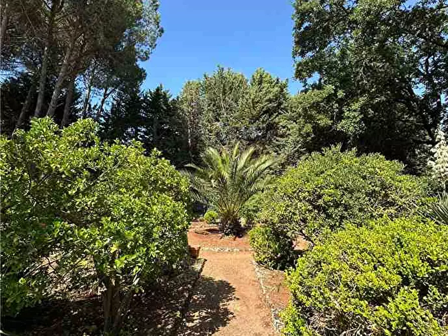 Immagine 20 di Villa in vendita  in Loc. Manghisi, sn a Noto