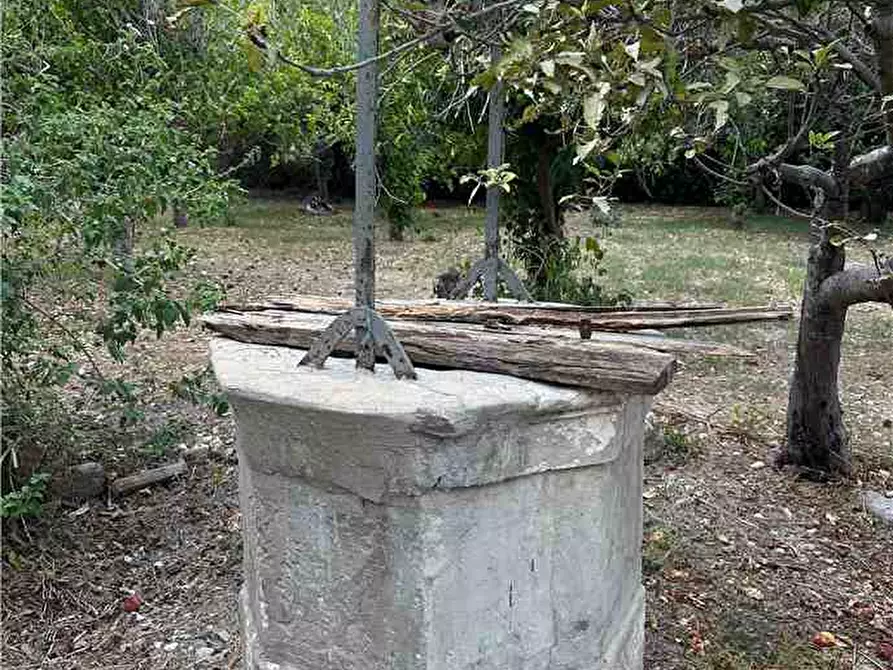 Immagine 8 di Terreno in vendita  in Via Elsa Morante, 94 a Avola