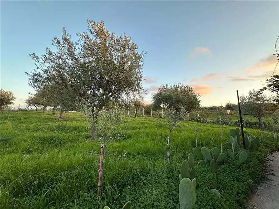 Immagine 10 di Terreno in vendita  in Loc. Contrada Cocca, s.n. a Noto