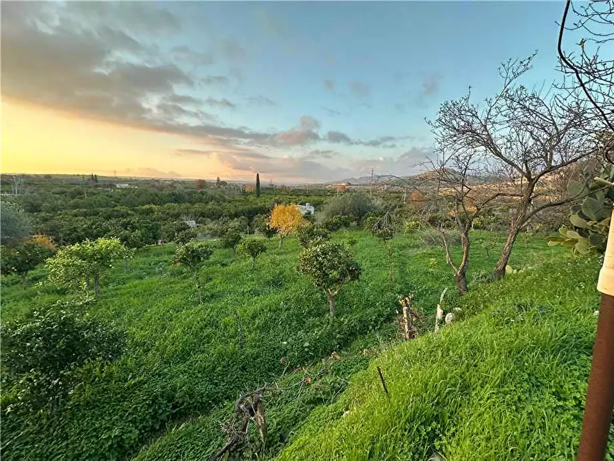 Immagine 12 di Terreno in vendita  in Loc. Contrada Cocca, s.n. a Noto