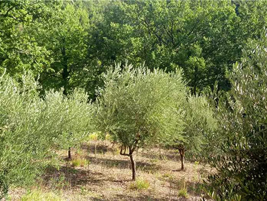 Immagine 6 di Capannone industriale in vendita  a Matelica